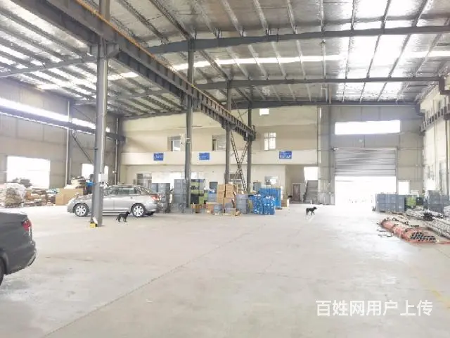 洛阳镇工业园区厂房5000平米可分租 - 图片 3