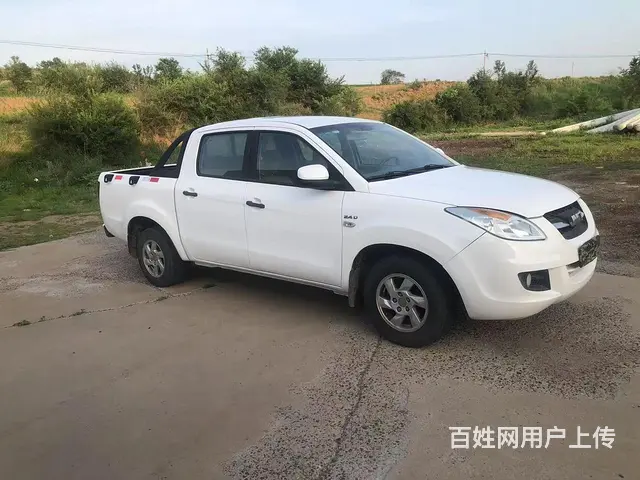 江铃域虎皮卡 - 图片 5