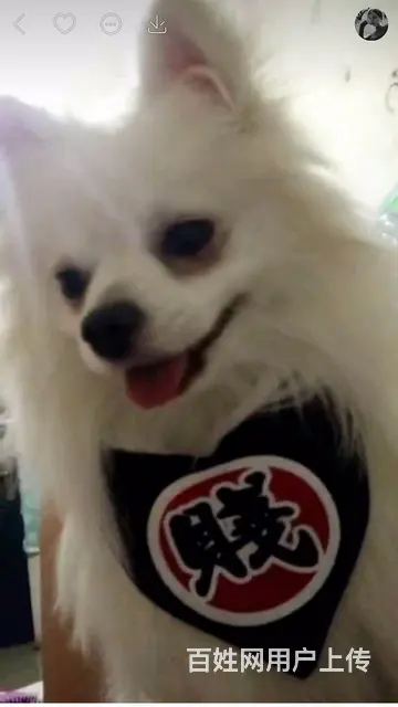 希望看到的好心人帮帮我 - 图片 1
