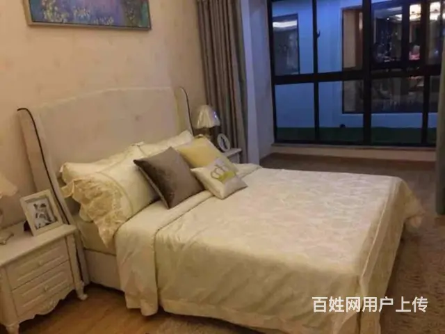 国建理想城 全椒城南 高铁站 前进小/学 南北通透 - 图片 3