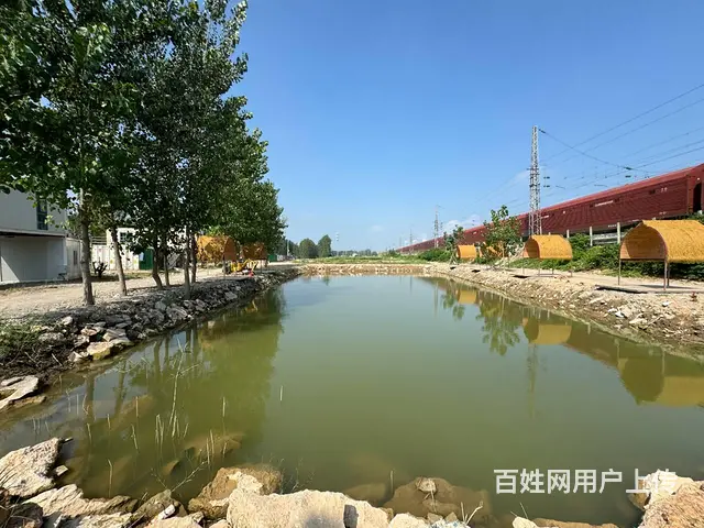 （徐州找店网）茅村独院鱼塘和土地出租 - 图片 1