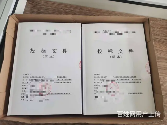 绵阳市投标文件制作、绵阳标书代写、绵阳标书制作公司 - 图片 6