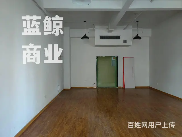 绿地商务城蓝海120平纯办公写字楼出租 - 图片 4