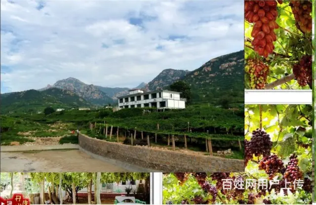 秦皇岛口碑佳的北戴河渔岛附近住宿哪家档次高 - 图片 4