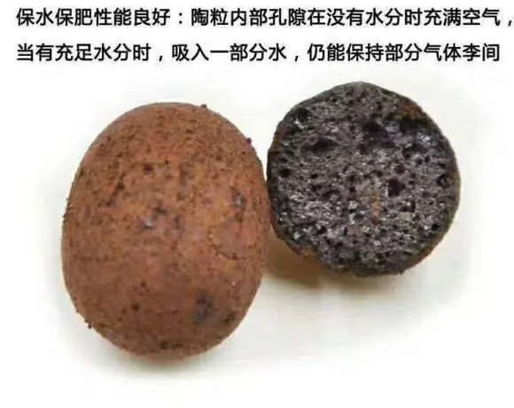 雅安陶粒 建筑陶粒 混凝土和陶粒搅拌 好朋友好搭档 - 图片 4