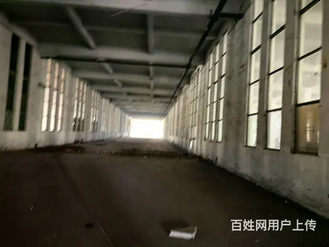 框架结构厂房出租 - 图片 8