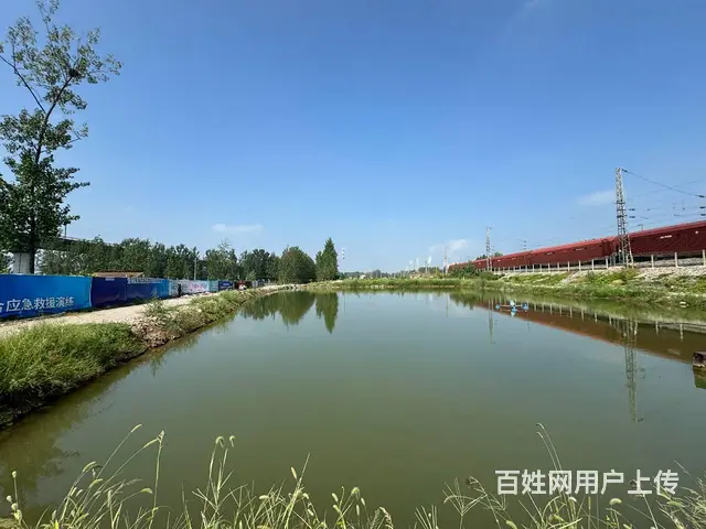（徐州找店网）茅村独院鱼塘和土地出租 - 图片 5