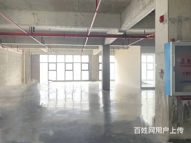 (房东直租)芙蓉东站旁丰兴产业园393平厂房/仓库/办公出租 - 图片 3