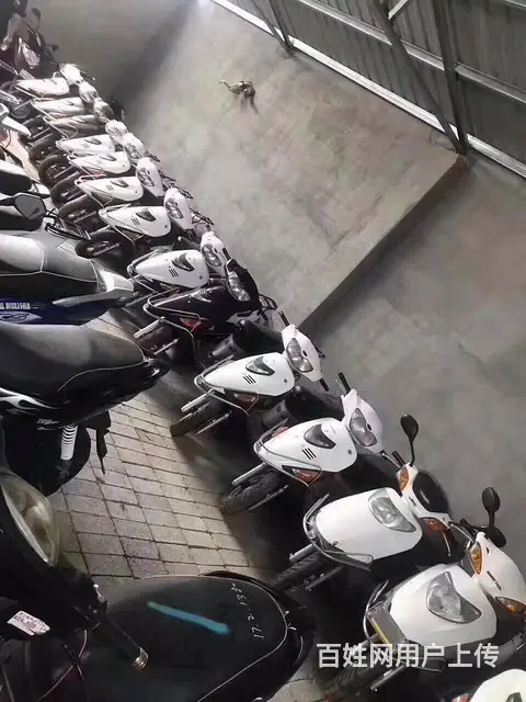 长期大量出售弯梁，踏板，公主，鬼火，趴赛，公路赛 - 图片 6