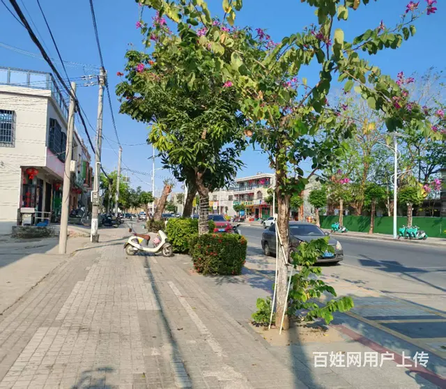 （51旺铺推荐）陵水三才镇550平场地出租 - 图片 2