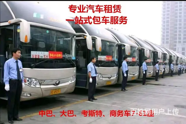 带司机租赁各种大巴中巴婚车，考斯特奔驰 - 图片 1