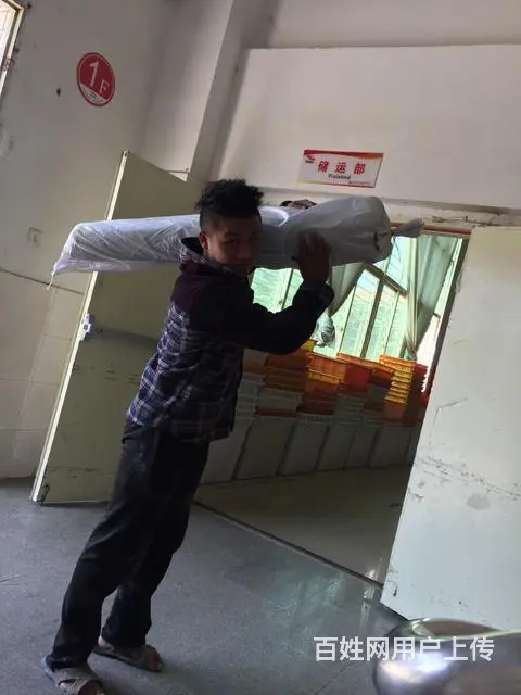 雨虹防水堵漏公 - 图片 1