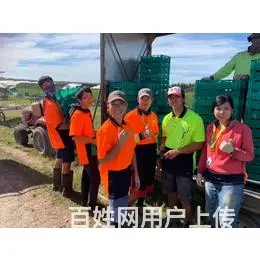 邢台 新出国劳务招聘管道工架子工抹灰工年龄55岁内 - 图片 5