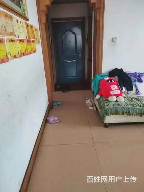 市建公司家属院（四季青东） 普通住宅 精装修 - 图片 5