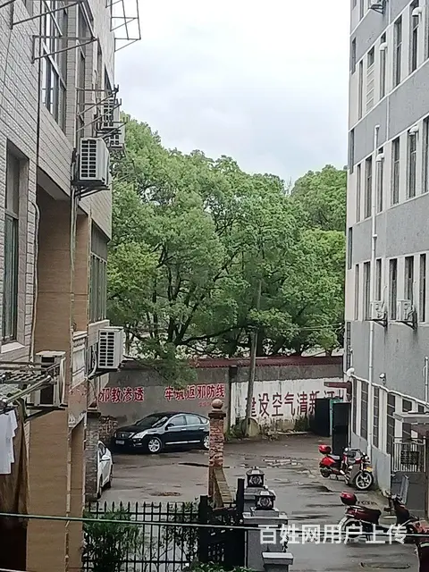 新干二中三中逸夫小学华城门学期房 - 图片 2