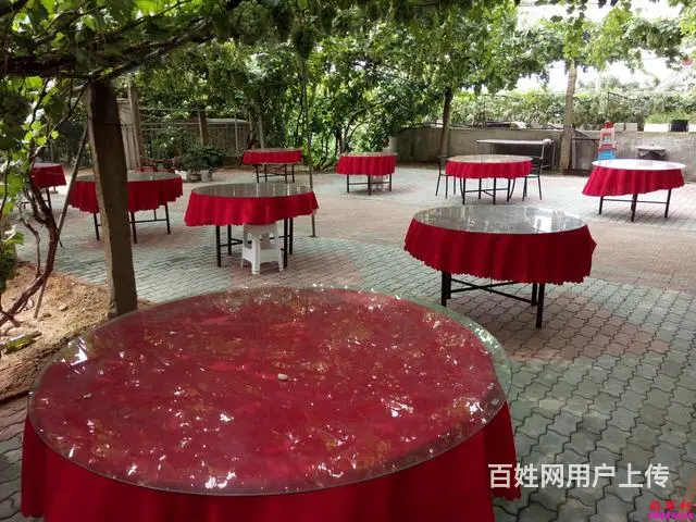 昌黎葡萄沟农家院，昌黎葡萄沟翡翠轩，昌黎海边农家院 - 图片 4