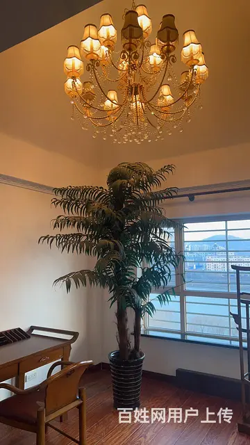 宝地天鹅堡河景别墅首次出租 - 图片 7