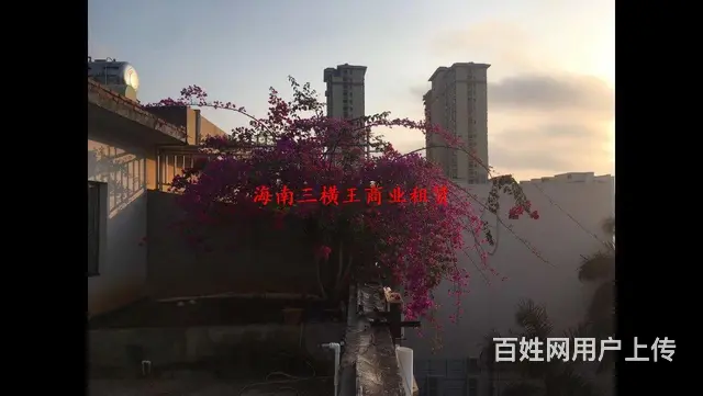 （三横王）海府路 汽车东站 别墅500平13室 - 图片 5