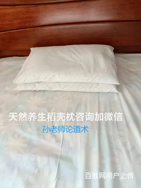 孙老师论道术 - 图片 5