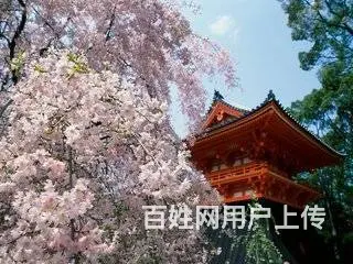 临沂零基础日语暑假短期速成培训班 - 图片 2