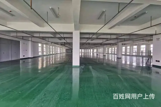 【出租】2500平 厂房 仓库  可分割 可环评 - 图片 3