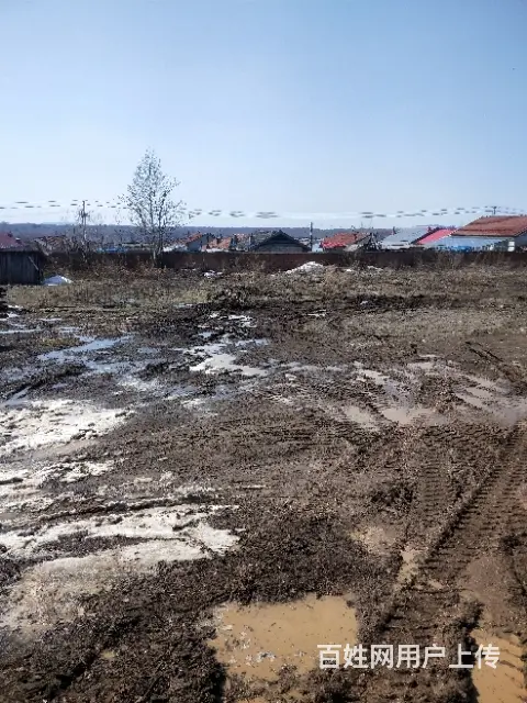 北岗镇内厂房场地出售 - 图片 8