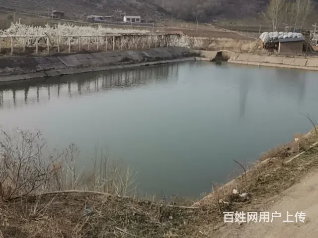 沈阳于洪值得信赖的钓鱼价格多少 - 图片 3