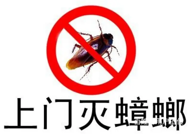 除虫除百虫：灭蟑螂、四害防治、防鼠灭鼠、灭臭虫 - 图片 12