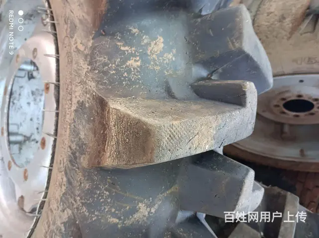 554 - 图片 3