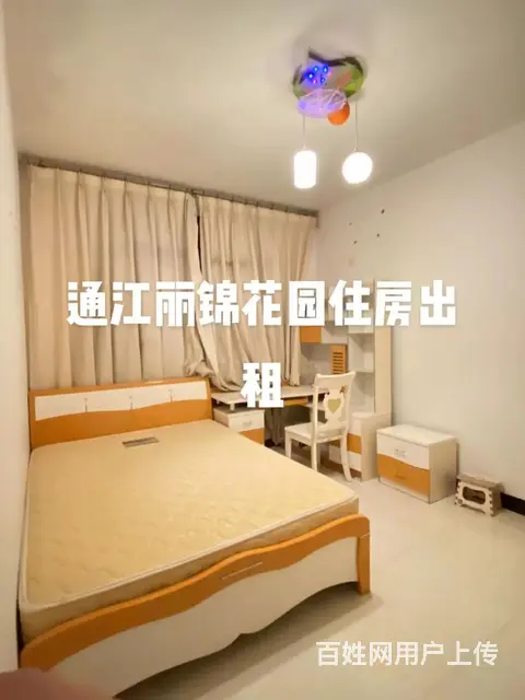 通江城南丽锦花园住房出租 - 图片 4