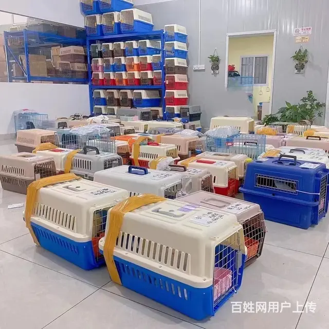 沈阳市宠物托运（猫狗）邮寄快递（2023今日 推荐运输 - 图片 5