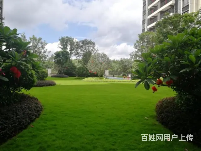 玉林阳光城.丽景公馆地下车库长租 - 图片