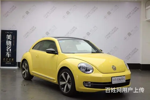 大众甲壳虫掀背 [进口] 2013款 2.0T 自 - 图片 4