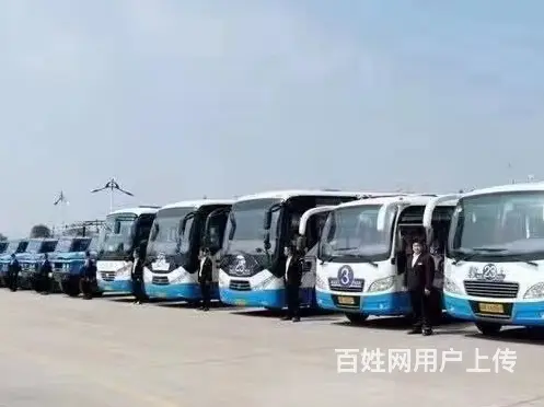 永州东安增驾C1增驾B2黄牌驾照A2证学费一般怎么收 - 图片 2