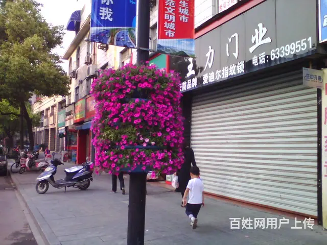 沈阳灯杆景观种植花盆圆顶柱子抱盆立体绿化容器厂家 - 图片 5