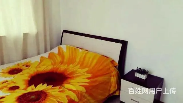 浪漫温馨爱情公寓无线网络 - 图片 1