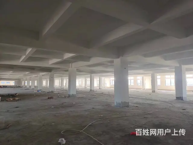 石狮锦尚沿海新建6000㎡厂房出租（可分租） - 图片 2