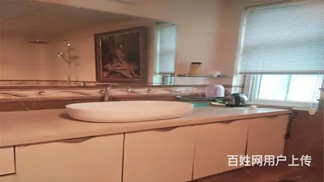 口 阳光花园独栋别墅 纯别墅区 位置安静 占地一 可扩 - 图片 10