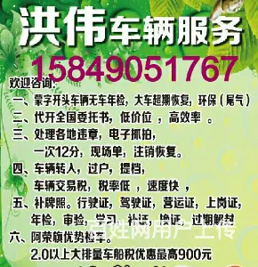 阿荣旗宏伟车辆中介 - 图片 1