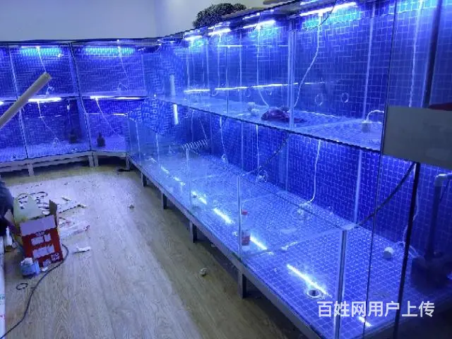 定做海鲜缸 - 图片 4