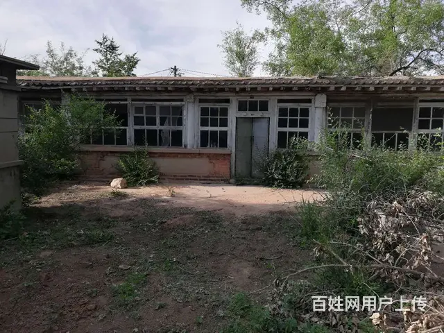 农村大院 - 图片 3
