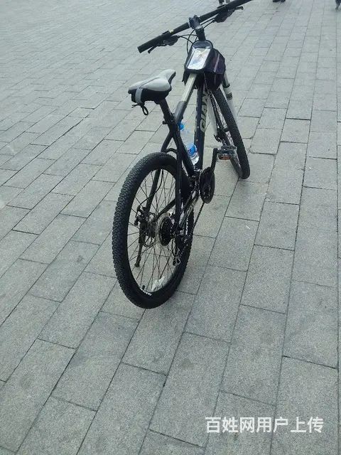 捷安特山地车 - 图片 8