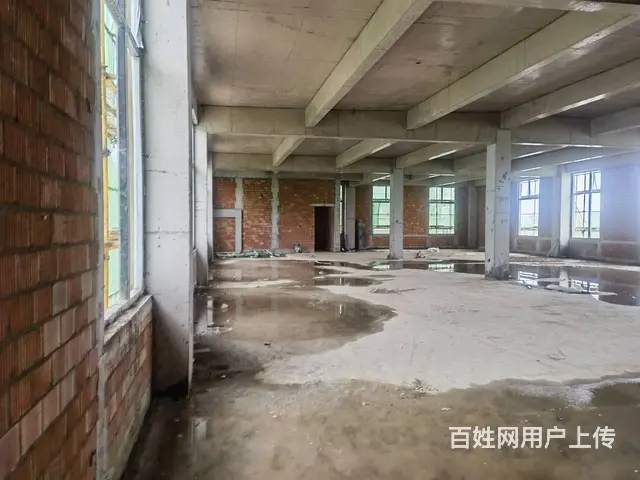 成都北门 50年产权 标准厂房 限时3千多 低价 现房出售 - 图片 3