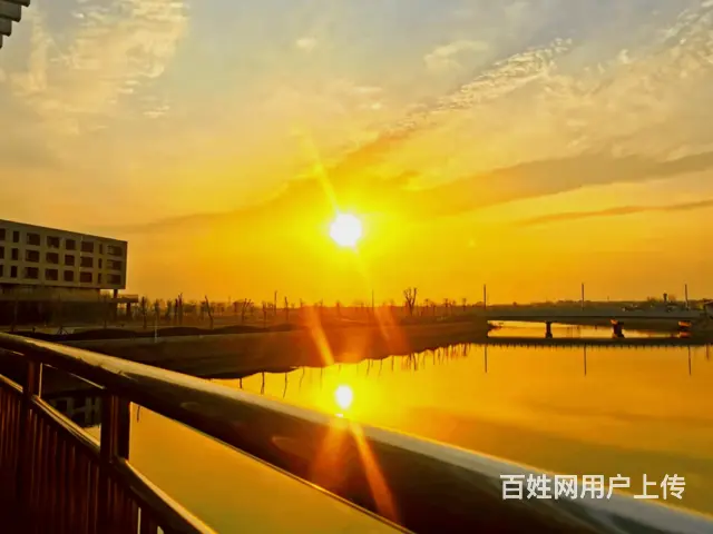 邢台正规2023单招培训电话 - 图片 3