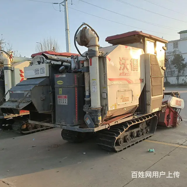 沃德小红帽 - 图片 2