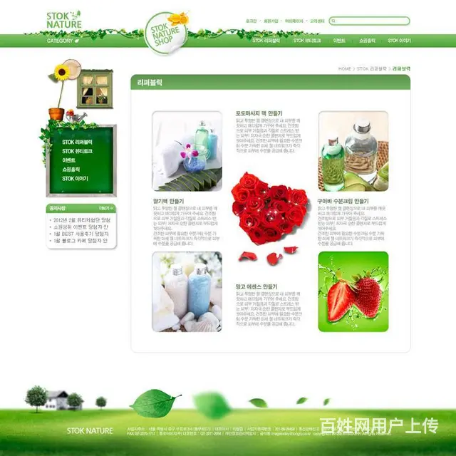 网页设计网站优化网站建设动漫设计软件开发 - 图片 7