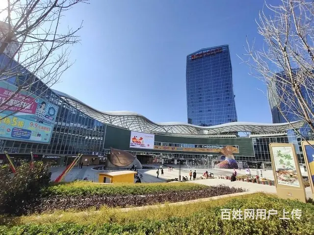 国际银座 2室2厅带家具家电出租1500元 采光充 - 图片 8