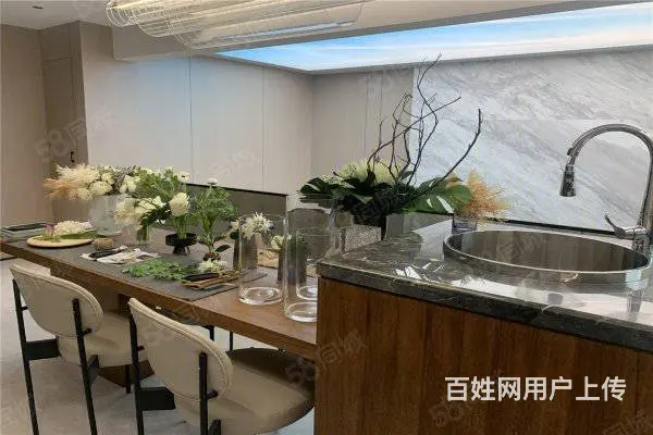 国企开发 碧桂园物业 高端人士品质住宅 叠拼别墅洞藏天地 - 图片 2