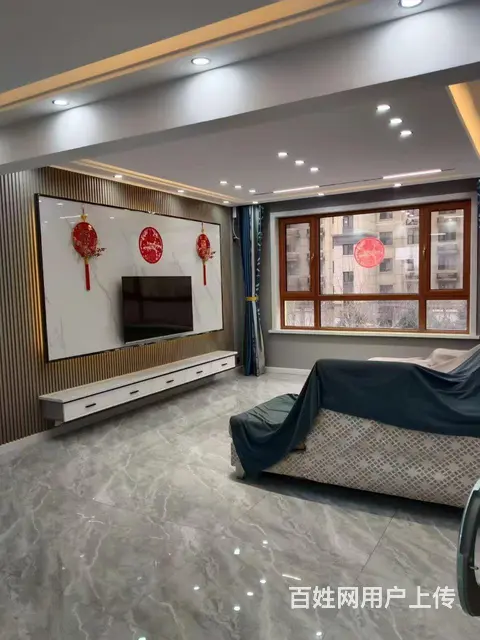 不带宠物 - 图片 1