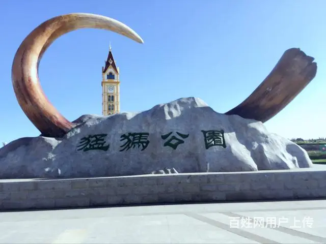 呼伦贝尔旅游包车刘伟师傅13191315131 - 图片 4